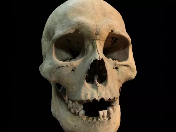 Descubren el brote de peste más antiguo conocido.