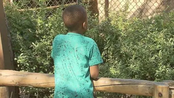 Unicef exige aclarar con urgencia situación de niños haitianos sin paradero conocido tras ingreso masivo a Chile Según el organismo, hay normas establecen obligaciones para las distintas instituciones que intervienen en los procesos migratorios con el objetivo de resguardar los derechos de los menores.