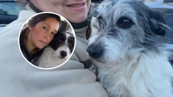 El calor de su perro la ayudó a sobrevivir: mujer pasó cinco días a la intemperie en Quellón
