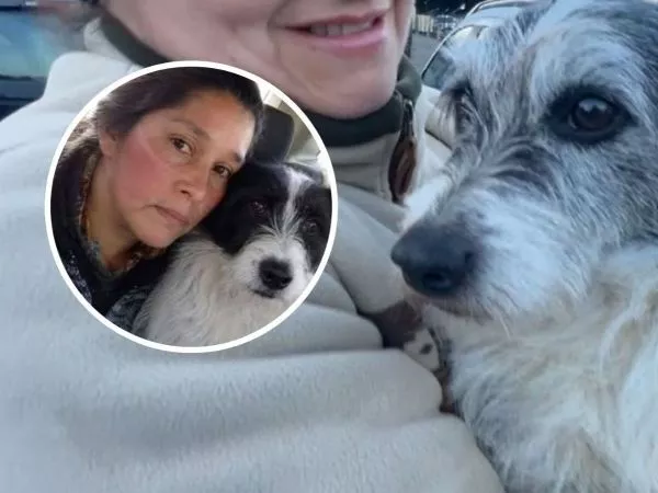 El calor de su perro la ayudó a sobrevivir: mujer pasó cinco días a la intemperie en Quellón