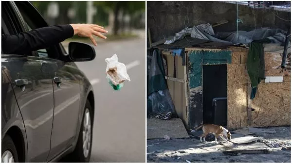 Bancada UDI propone sumar 12 nuevas conductas a Registro de Vándalos e Incivilidades "Estamos hablando de situaciones que deterioran la convivencia y el respeto por las normas básicas, por lo que resulta necesario avanzar en sanciones más severas", manifestaron desde la bancada.