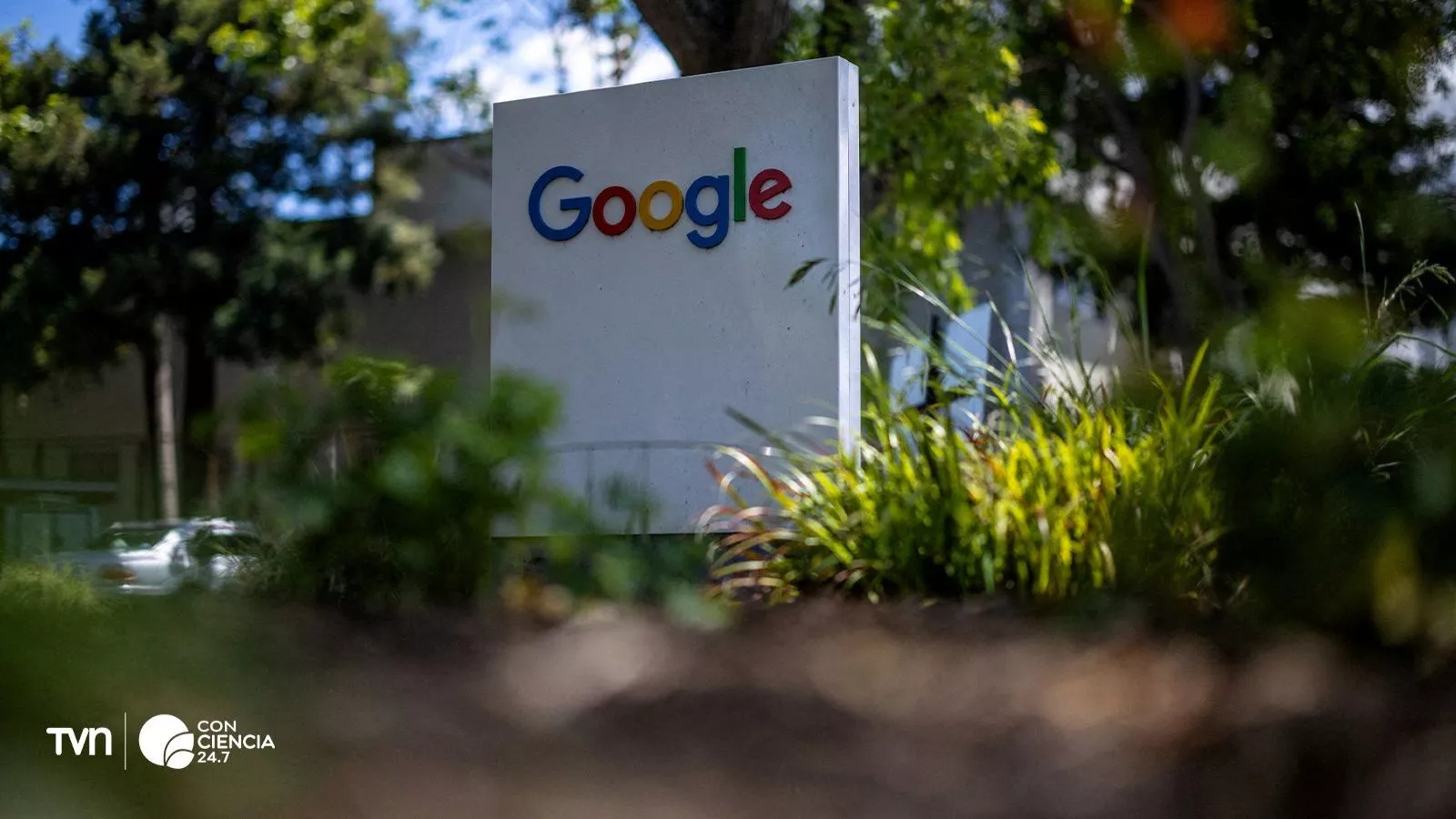 Google invierte US$75 millones en A24 para desarrollar IA.