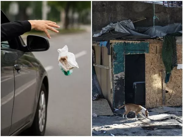 Bancada UDI propone sumar 12 nuevas conductas a Registro de Vándalos e Incivilidades