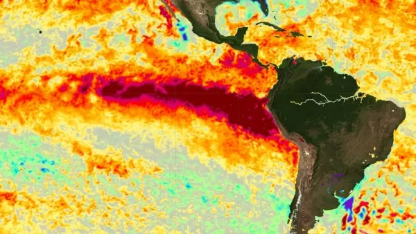 Experto y llegada de El Niño: 