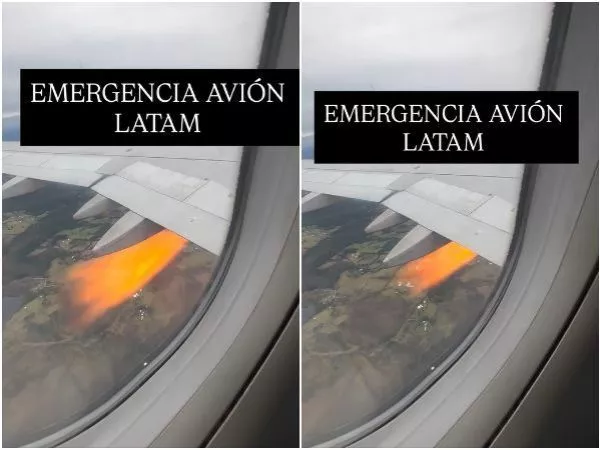 VIDEO: avión aterrizó de emergencia en Puerto Montt tras colisión con aves