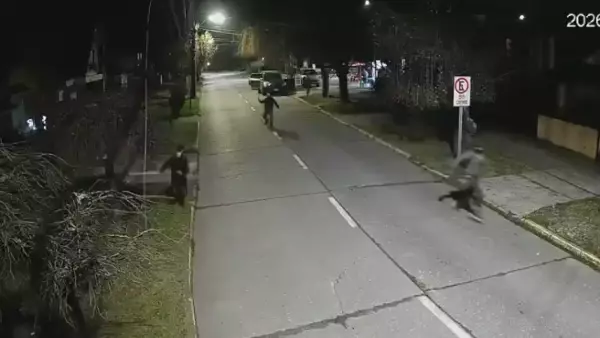 Comerciante frustró portonazo con palo de hockey en Chiguayante: permitió a niña de 12 años huir