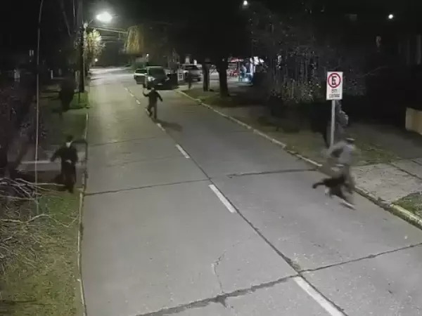 Comerciante frustró portonazo con palo de hockey en Chiguayante: permitió a niña de 12 años huir