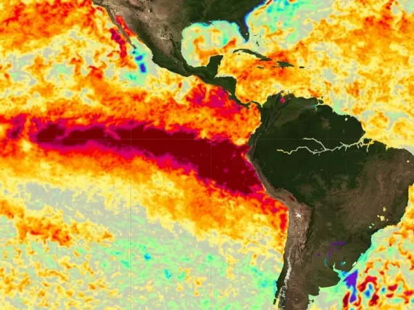 Experto y llegada de El Niño: 