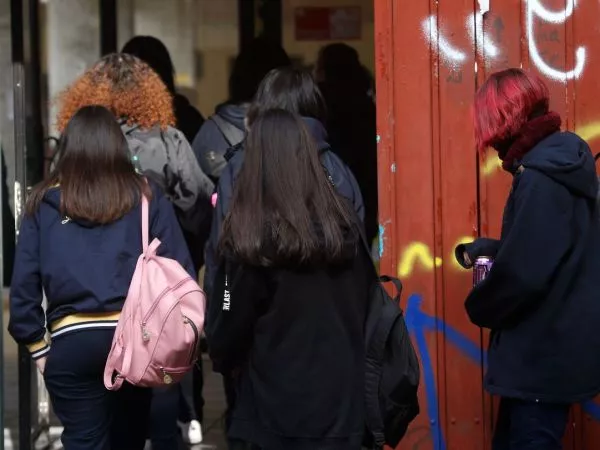 Los 4 puntos del proyecto de Escuelas Protegidas que el TC declaró inconstitucionales