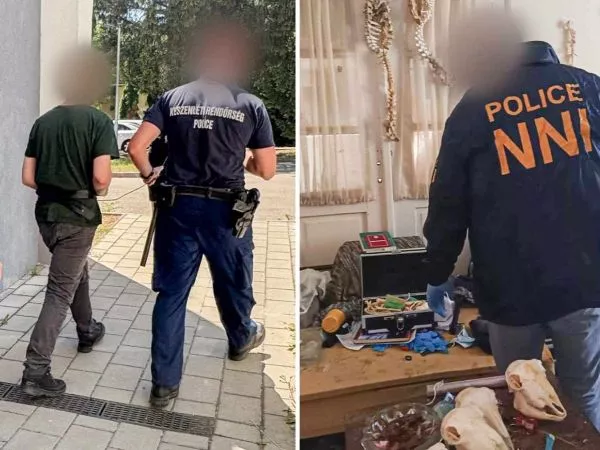 Sujeto detenido por almacenar restos biológicos humanos y los allanamientos que realizó la policía de Hungría