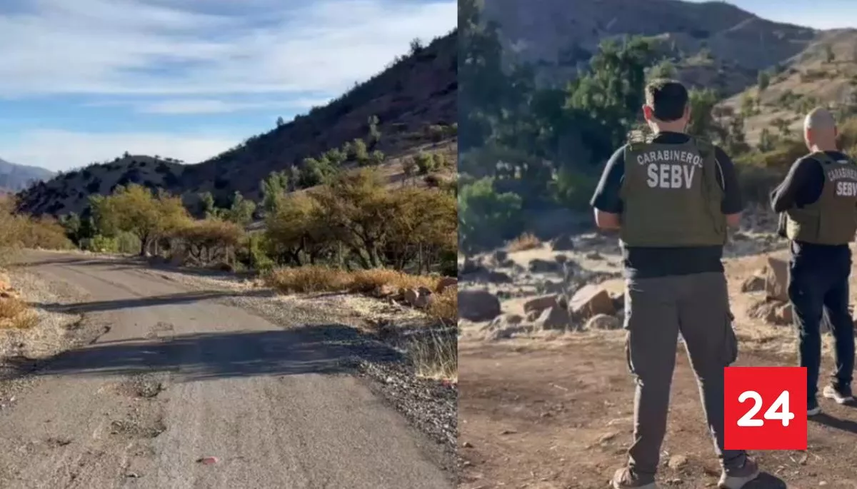 Detained confessed location of the body: they find a calcined body during the search for a kidnapped teenager in Santa Maria