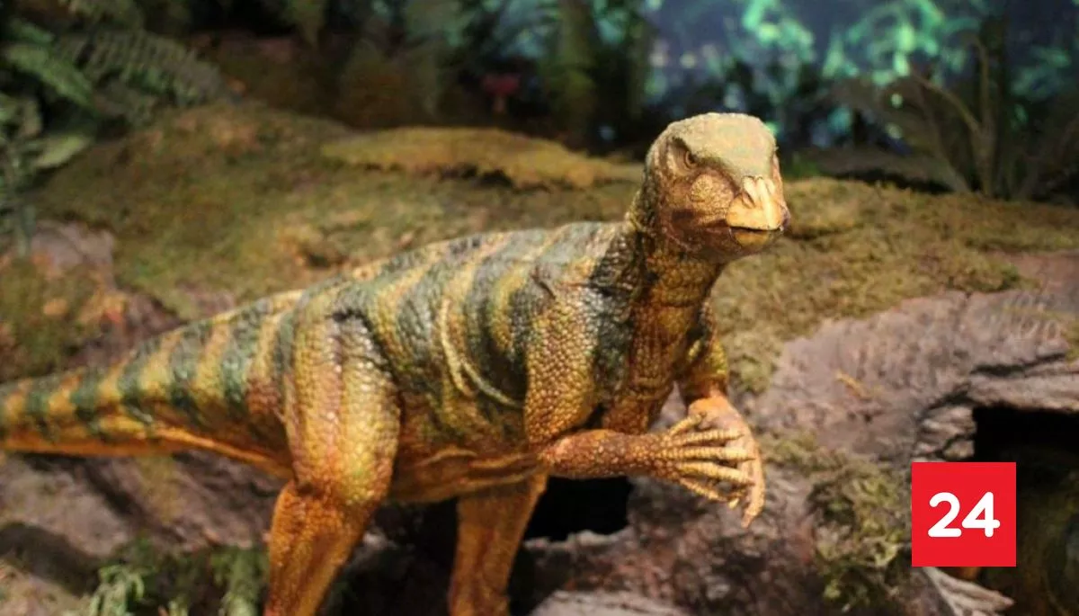 Un fósil guardado 40 años en un cajón resultó ser del primer dinosaurio hallado en la Antártida