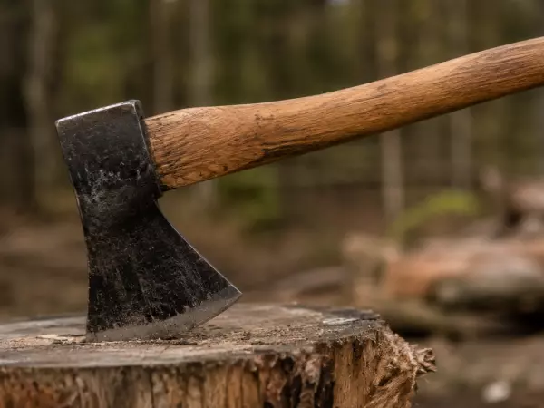 Mujer mutilada con un hacha en 2019 denuncia amenazas tras salida de la cárcel de su agresor