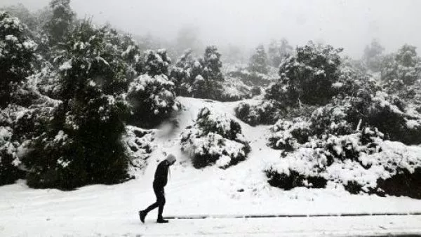 Nieve
