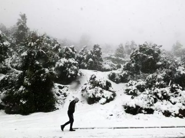Nieve