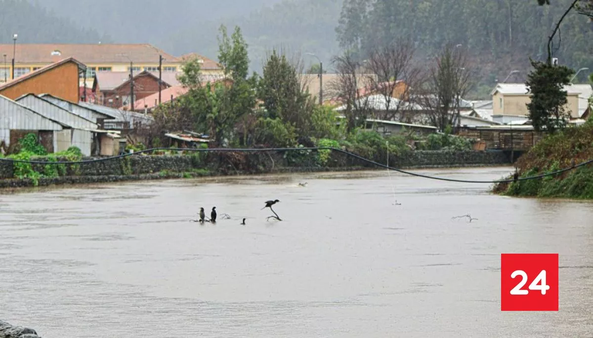 Marejadas extremas en Penco destruyen viviendas y obligan a evacuaciones masivas