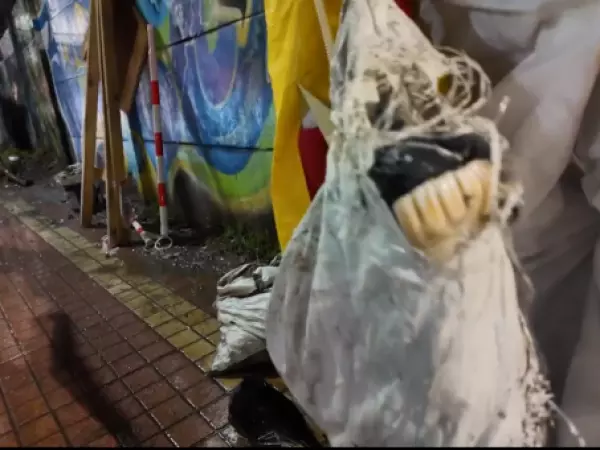 osamentas caballos