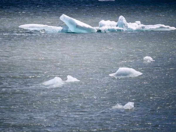 Glaciares siguen a la baja