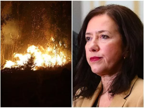 Fiscal Perivancich por exfuncionarios de Conaf formalizados por megaincendio