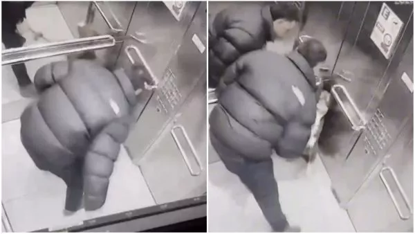 captan brutal agresión de hombre a su perro dentro de ascensor en Ñuñoa
