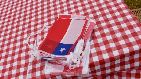 El proyecto que busca sumar nuevo feriado para Fiestas Patrias: 
