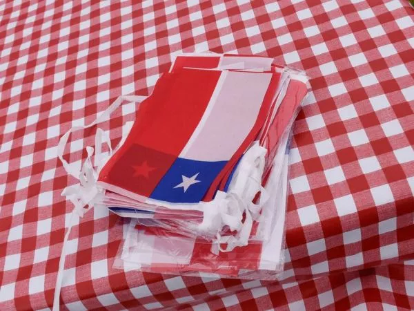El proyecto que busca sumar nuevo feriado para Fiestas Patrias: 