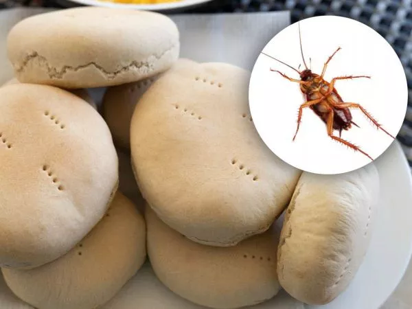 Pan amasado y un escarabajo