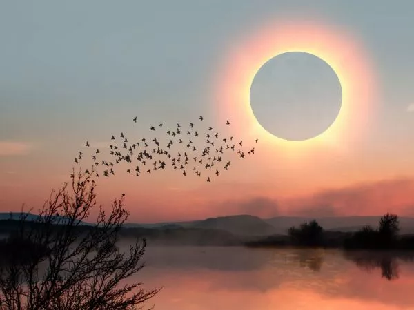 Eclipse solar