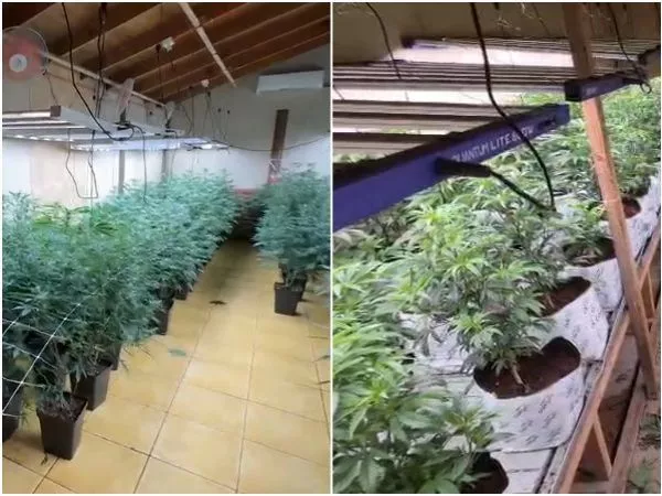 Conocido personaje de farándula es investigado por presunto tráfico de drogas y lavado de activos