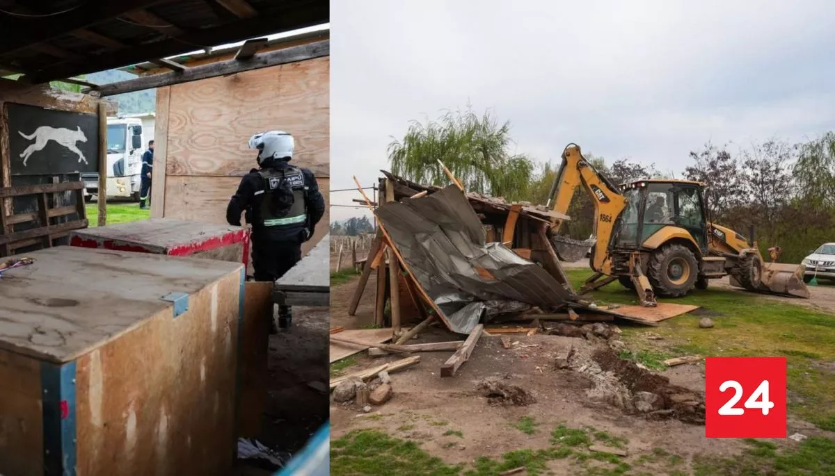 Municipalidad de Maipú demuele canódromo irregular tras implementar nueva ordenanza de protección animal