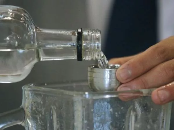 pisco chileno