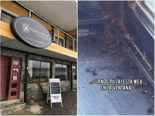 Restaurante de Talcahuano ofrece disculpas tras denuncia de Otakin