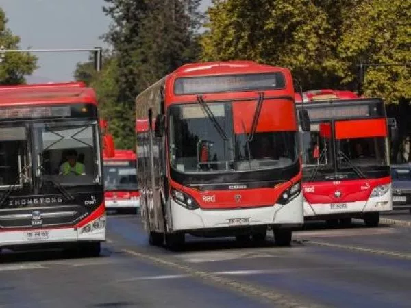 buses red bandera
