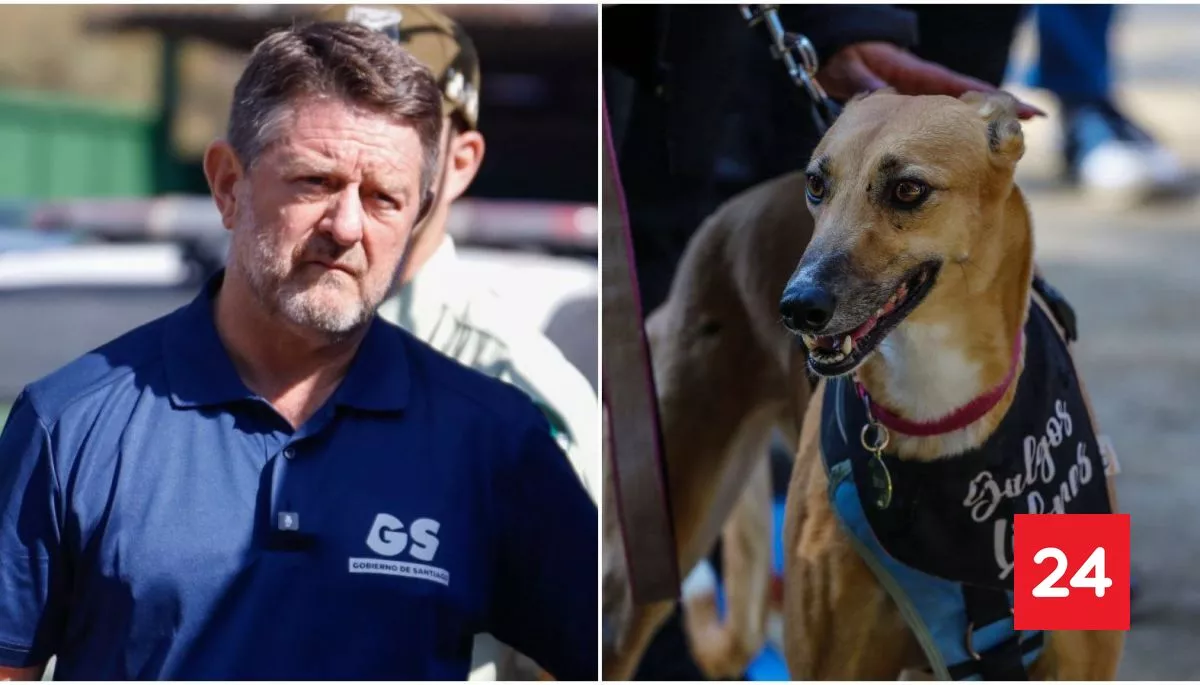 Orrego condena recortes a recursos para la Ley Cholito: "Más abandono, más inseguridad"