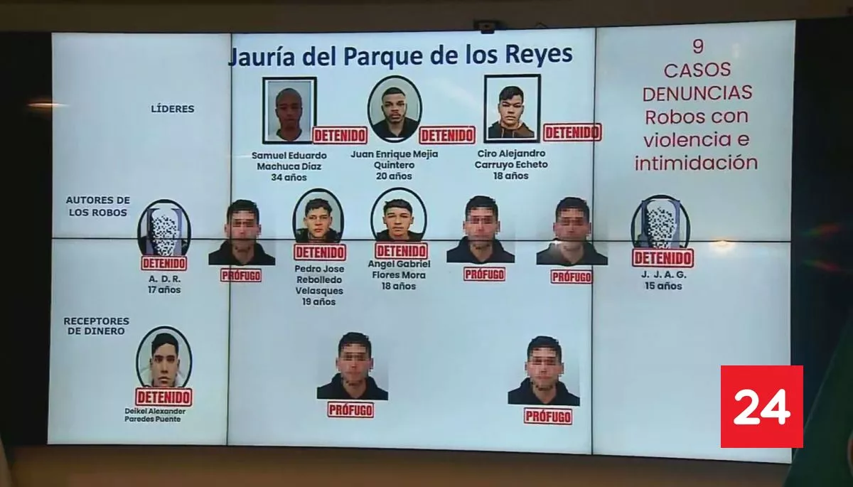 Obligaban a hacer transferencias: caen 7 integrantes de la "Jauría del Parque de los Reyes"