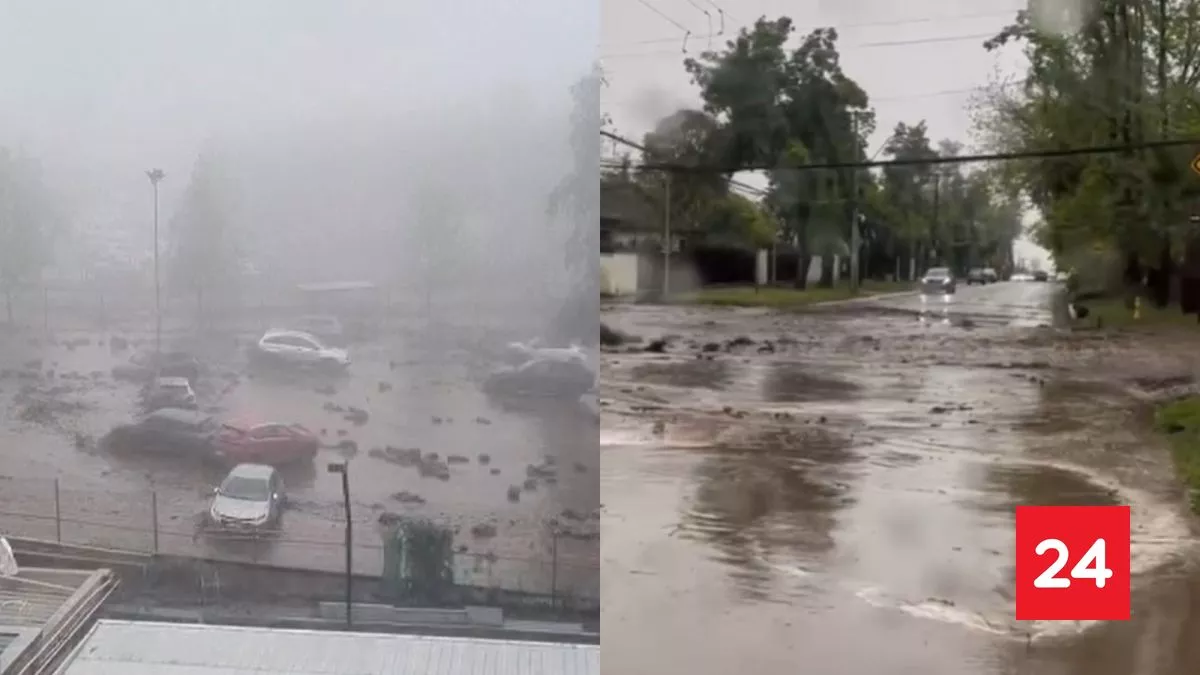 VIDEOS: aluvión arrasó con vehículos, árboles y una micro en Las Condes