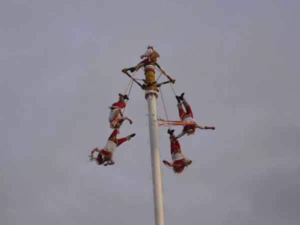 ¡Exitosa inauguración de identidades festival con voladores de Papantla!