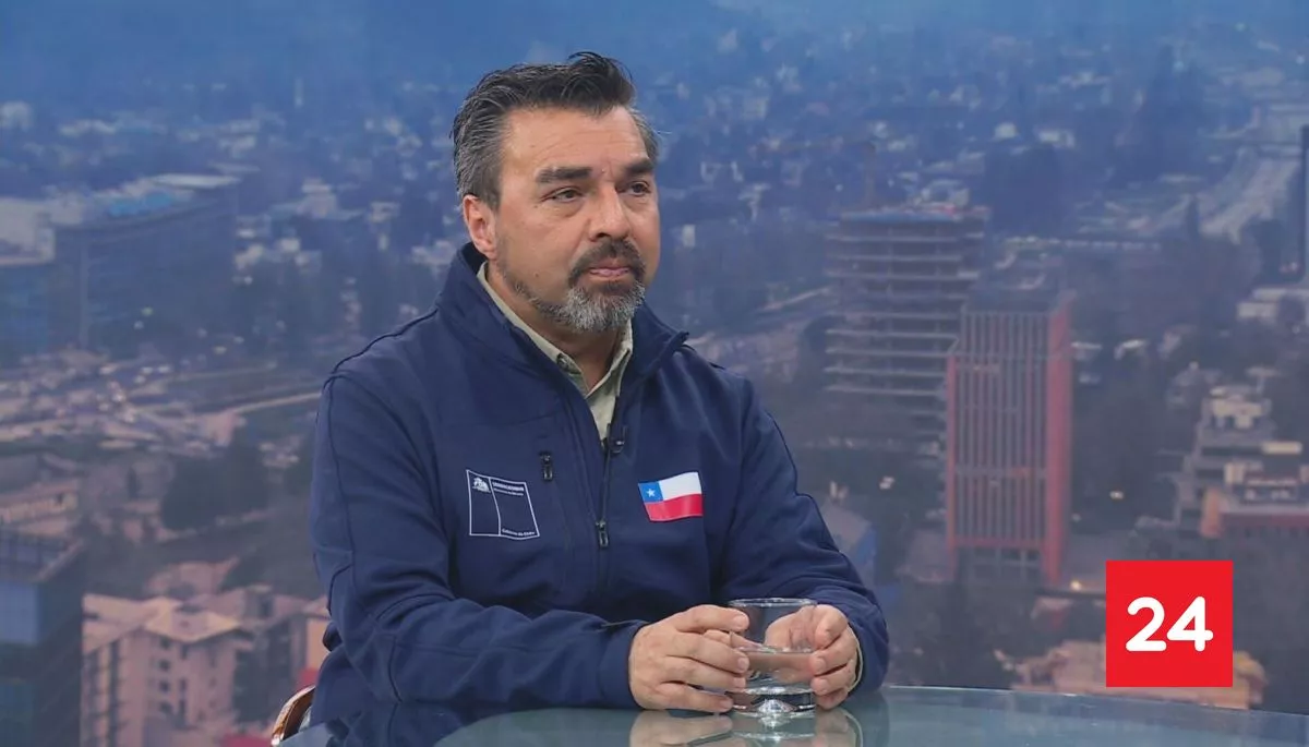 Director de Sernageomin explica fenómeno flash flow que provocó aluvión en Las Condes