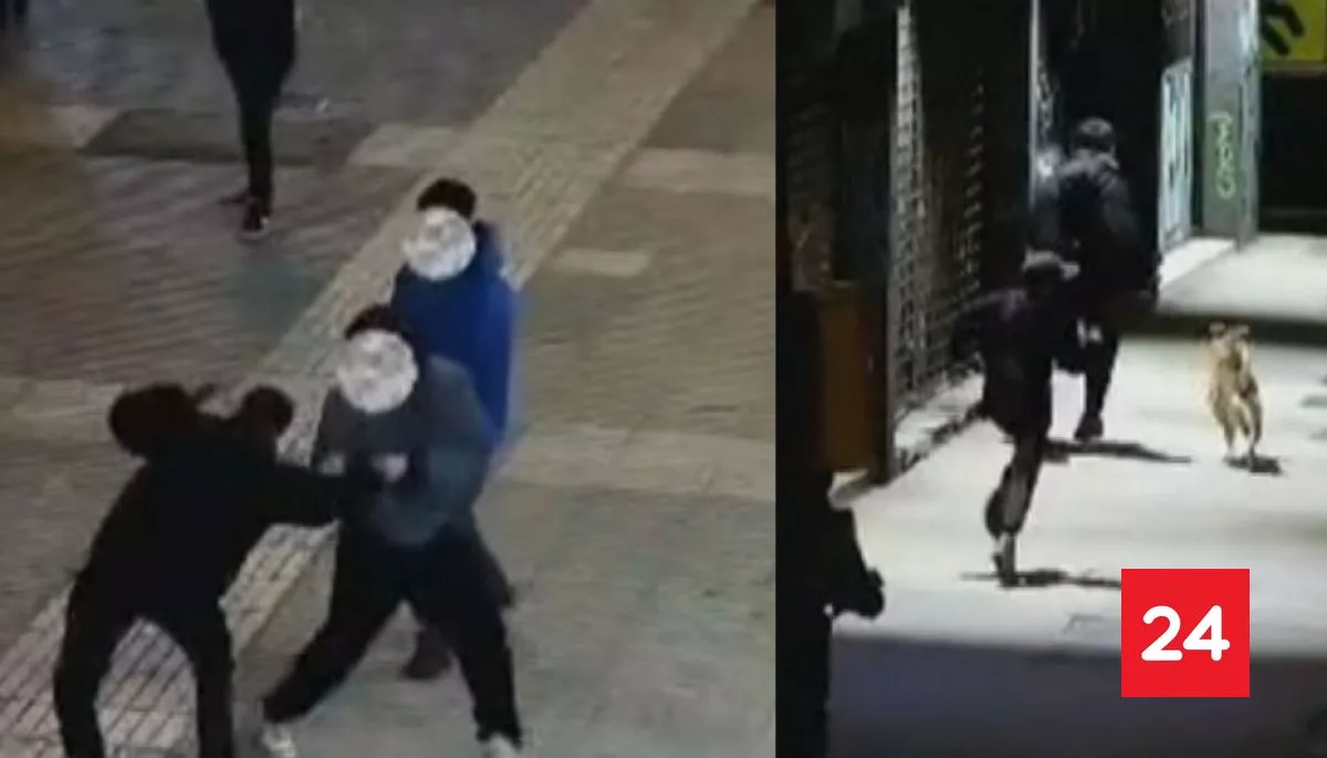 Así opera “La Jauría”: 7 detenidos tras violentos robos en pleno Valparaíso