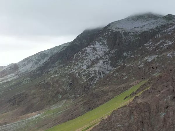 Fenómeno del desierto florido en Antofagasta: belleza natural amenazada por acción humana