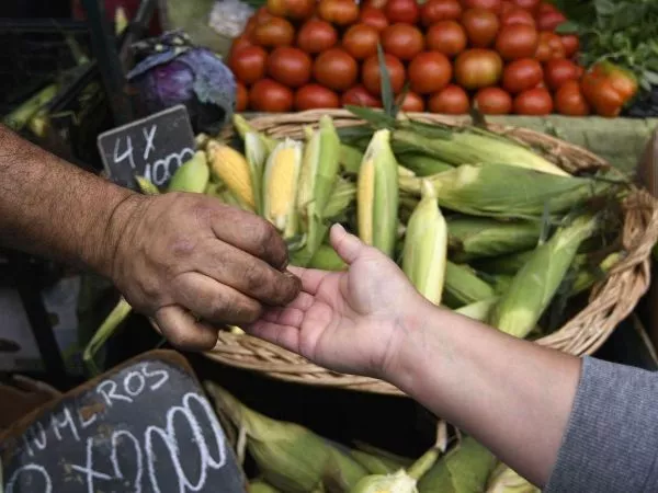 SNA advierte por efectos del granizo en las cosechas