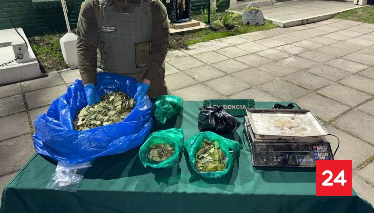 Seis personas detenidas: Carabineros incauta más de 100 kilos de hojas de coca