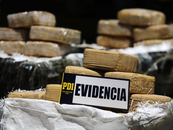 Crimen de narcotraficante desencadenó la caída de 