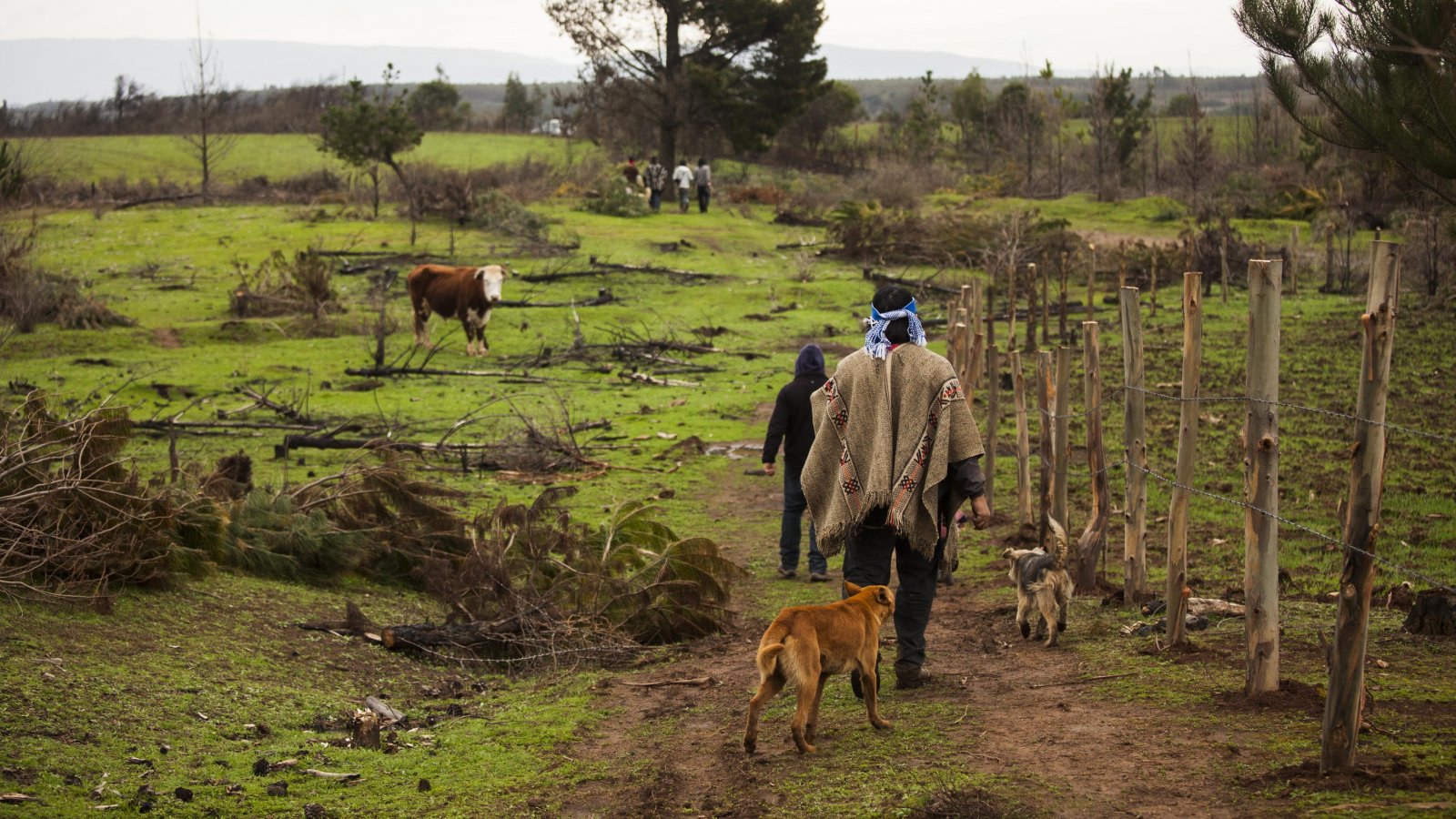 Ministra Rubilar y CONADI entregaron 994 hectáreas de tierras a comunidades mapuche de La Araucanía